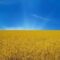 В чем особенность украинской ситуации?